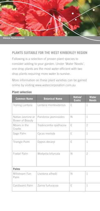 Hibiscus Pendunculatum




         PLANTS SUITABLE FOR THE WEST KIMBERLEY REGION
         Following is a selection of proven plant species to
         consider adding to your garden. Under ‘Water Needs’,
         one drop plants are the most water efﬁcient with two
         drop plants requiring more water to survive.

         More information on these plant varieties can be gained
         online by visiting www.watercorporation.com.au

         Plant selection
                                                            Native/       Water
            Common Name           Botanical Name
                                                            Exotic        Needs
          Trailing Lantana   Lantana montevidensis      E             1



          Native Jasmine or Pandorea jasminoides        N             1
          Bower of Beauty
          Moses in the       Tradescantia spathacea     E             2
          Cradle
          Sago Palm          Cycas revoluta             E             1

          Triangle Palm      Dypsis decaryi             E             1



          Foxtail Palm       Wodyetia bifurcata         N             2




          Palms
          Millstream Fan     Livistona alfredii         N             1
          Palm

          Cardboard Palm     Zamia furfuracea           E             1
 