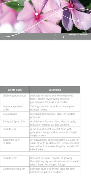 Madagascan Periwinkle




    Growth Habit                     Description

200mm groundcover   Available in mauve and white ﬂowering
                    forms. Hardy, low growing colourful
                    groundcover for a full sun position.
Vigorous spreader   Twining vine with large bunches of pink
to 5m               trumpet ﬂowers.
Groundcover         Clumping groundcover, ideal for shaded
                    positions.
Compact Cycad 2m    Architectural feature plant, ideal for pots,
                    full sun or shaded garden positions.
Palm to 7m          A full sun, drought tolerant palm with
                    grey green foliage and an unusual triangle
                    shaped crown.
Specimen palm       An outstanding specimen palm, suitable for
to 10m              small or large garden areas. Deep succulent
                    roots allow it to survive long dry periods with
                    little ill effect.


Palm to 10m         Compact fan palm, capable of growing
                    through long dry periods without detrimental
                    effect. Broad fan-shaped foliage.
Clumping cycad 2m   Compact clumping cycad, ideal for pots
                    and full sun garden positions.
 