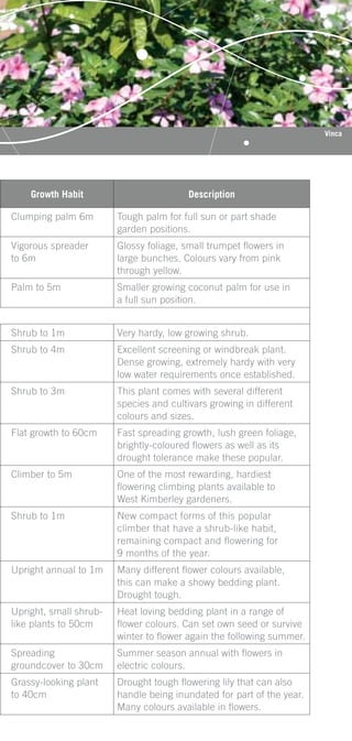 Vinca




    Growth Habit                         Description

Clumping palm 6m        Tough palm for full sun or part shade
                        garden positions.
Vigorous spreader       Glossy foliage, small trumpet ﬂowers in
to 6m                   large bunches. Colours vary from pink
                        through yellow.
Palm to 5m              Smaller growing coconut palm for use in
                        a full sun position.


Shrub to 1m             Very hardy, low growing shrub.
Shrub to 4m             Excellent screening or windbreak plant.
                        Dense growing, extremely hardy with very
                        low water requirements once established.
Shrub to 3m             This plant comes with several different
                        species and cultivars growing in different
                        colours and sizes.
Flat growth to 60cm     Fast spreading growth, lush green foliage,
                        brightly-coloured ﬂowers as well as its
                        drought tolerance make these popular.
Climber to 5m           One of the most rewarding, hardiest
                        ﬂowering climbing plants available to
                        West Kimberley gardeners.
Shrub to 1m             New compact forms of this popular
                        climber that have a shrub-like habit,
                        remaining compact and ﬂowering for
                        9 months of the year.
Upright annual to 1m    Many different ﬂower colours available,
                        this can make a showy bedding plant.
                        Drought tough.
Upright, small shrub-   Heat loving bedding plant in a range of
like plants to 50cm     ﬂower colours. Can set own seed or survive
                        winter to ﬂower again the following summer.
Spreading               Summer season annual with ﬂowers in
groundcover to 30cm     electric colours.
Grassy-looking plant    Drought tough ﬂowering lily that can also
to 40cm                 handle being inundated for part of the year.
                        Many colours available in ﬂowers.
 