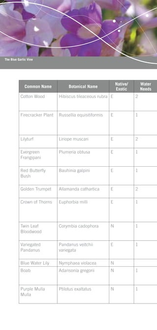 The Blue Garlic Vine




                                                              Native/       Water
              Common Name           Botanical Name
                                                              Exotic        Needs
           Cotton Wood         Hibiscus tileaceous rubra E              2



           Firecracker Plant   Russellia equisitiformis   E             1




           Lilyturf            Liriope muscari            E             2

           Evergreen           Plumeria obtusa            E             1
           Frangipani

           Red Butterﬂy        Bauhinia galpini           E             1
           Bush

           Golden Trumpet      Allamanda cathartica       E             2

           Crown of Thorns     Euphorbia milli            E             1




           Twin Leaf           Corymbia cadophora         N             1
           Bloodwood

           Variegated          Pandanus veitchii          E             1
           Pandanus            variegata

           Blue Water Lily     Nymphaea violacea          N
           Boab                Adansonia gregorii         N             1



           Purple Mulla        Ptilotus exaltatus         N             1
           Mulla
 