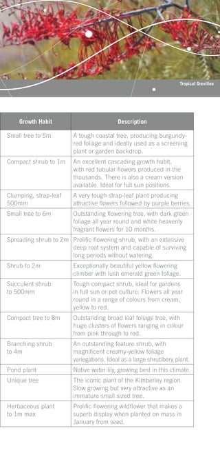 Tropical Grevillea




    Growth Habit                         Description

Small tree to 5m       A tough coastal tree, producing burgundy-
                       red foliage and ideally used as a screening
                       plant or garden backdrop.
Compact shrub to 1m    An excellent cascading growth habit,
                       with red tubular ﬂowers produced in the
                       thousands. There is also a cream version
                       available. Ideal for full sun positions.
Clumping, strap-leaf   A very tough strap-leaf plant producing
500mm                  attractive ﬂowers followed by purple berries.
Small tree to 6m       Outstanding ﬂowering tree, with dark green
                       foliage all year round and white heavenly
                       fragrant ﬂowers for 10 months.
Spreading shrub to 2m Proliﬁc ﬂowering shrub, with an extensive
                      deep root system and capable of surviving
                      long periods without watering.
Shrub to 2m            Exceptionally beautiful yellow ﬂowering
                       climber with lush emerald green foliage.
Succulent shrub        Tough compact shrub, ideal for gardens
to 500mm               in full sun or pot culture. Flowers all year
                       round in a range of colours from cream,
                       yellow to red.
Compact tree to 8m     Outstanding broad leaf foliage tree, with
                       huge clusters of ﬂowers ranging in colour
                       from pink through to red.
Branching shrub        An outstanding feature shrub, with
to 4m                  magniﬁcent creamy-yellow foliage
                       variegations. Ideal as a large shrubbery plant.
Pond plant             Native water lily, growing best in this climate.
Unique tree            The iconic plant of the Kimberley region.
                       Slow growing but very attractive as an
                       immature small sized tree.
Herbaceous plant       Proliﬁc ﬂowering wildﬂower that makes a
to 1m max              superb display when planted on mass in
                       January from seed.
 