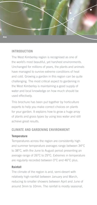 Aloe




       INTRODUCTION
       The West Kimberley region is recognised as one of
       the world’s most beautiful, yet harshest environments.
       Unchanged for millions of years, the plants and animals
       have managed to survive extreme conditions of heat
       and cold. Growing a garden in this region can be quite
       challenging. The most critical aspect to gardening in
       the West Kimberley is maintaining a good supply of
       water and local knowledge on how much should be
       used effectively.

       This brochure has been put together by horticulture
       experts to help you make correct choices on plants
       for your garden. It explains how to grow a huge array
       of plants and grass types by using less water and still
       achieve great results.

       CLIMATE AND GARDENING ENVIRONMENT
       Temperature
       Temperatures across the region are consistently high
       and summer temperature averages range between 34°C
       to 38°C, with the June to August period presenting an
       average range of 26°C to 29°C. Extremes in temperature
       are regularly recorded between 0°C and 46°C plus.

       Rainfall
       The climate of the region is arid, semi-desert with
       relatively high rainfall between January and March,
       reducing to smaller showers between April and June of
       around 3mm to 10mm. The rainfall is mostly seasonal,
 