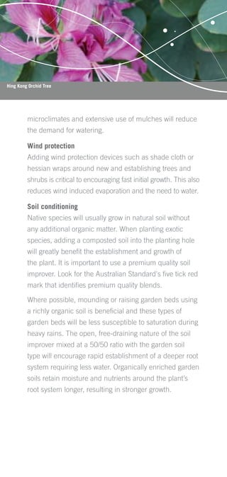 Hing Kong Orchid Tree




         microclimates and extensive use of mulches will reduce
         the demand for watering.

         Wind protection
         Adding wind protection devices such as shade cloth or
         hessian wraps around new and establishing trees and
         shrubs is critical to encouraging fast initial growth. This also
         reduces wind induced evaporation and the need to water.

         Soil conditioning
         Native species will usually grow in natural soil without
         any additional organic matter. When planting exotic
         species, adding a composted soil into the planting hole
         will greatly beneﬁt the establishment and growth of
         the plant. It is important to use a premium quality soil
         improver. Look for the Australian Standard's ﬁve tick red
         mark that identiﬁes premium quality blends.

         Where possible, mounding or raising garden beds using
         a richly organic soil is beneﬁcial and these types of
         garden beds will be less susceptible to saturation during
         heavy rains. The open, free-draining nature of the soil
         improver mixed at a 50/50 ratio with the garden soil
         type will encourage rapid establishment of a deeper root
         system requiring less water. Organically enriched garden
         soils retain moisture and nutrients around the plant’s
         root system longer, resulting in stronger growth.
 
