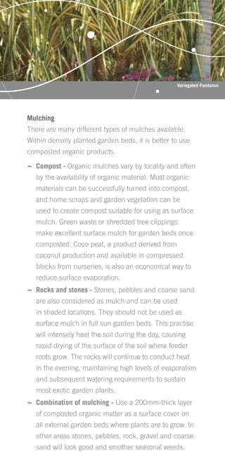 Variegated Pandanus




Mulching
There are many different types of mulches available.
Within densely planted garden beds, it is better to use
composted organic products.

~ Compost - Organic mulches vary by locality and often
   by the availability of organic material. Most organic
   materials can be successfully turned into compost,
   and home scraps and garden vegetation can be
   used to create compost suitable for using as surface
   mulch. Green waste or shredded tree clippings
   make excellent surface mulch for garden beds once
   composted. Coco peat, a product derived from
   coconut production and available in compressed
   blocks from nurseries, is also an economical way to
   reduce surface evaporation.
~ Rocks and stones - Stones, pebbles and coarse sand
   are also considered as mulch and can be used
   in shaded locations. They should not be used as
   surface mulch in full sun garden beds. This practise
   will intensely heat the soil during the day, causing
   rapid drying of the surface of the soil where feeder
   roots grow. The rocks will continue to conduct heat
   in the evening, maintaining high levels of evaporation
   and subsequent watering requirements to sustain
   most exotic garden plants.
~ Combination of mulching - Use a 200mm-thick layer
   of composted organic matter as a surface cover on
   all external garden beds where plants are to grow. In
   other areas stones, pebbles, rock, gravel and coarse
   sand will look good and smother seasonal weeds.
 