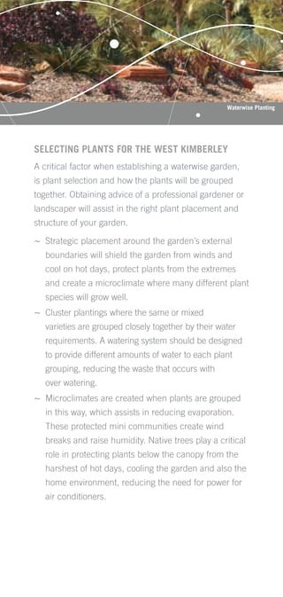 Waterwise Planting




SELECTING PLANTS FOR THE WEST KIMBERLEY
A critical factor when establishing a waterwise garden,
is plant selection and how the plants will be grouped
together. Obtaining advice of a professional gardener or
landscaper will assist in the right plant placement and
structure of your garden.

~ Strategic placement around the garden’s external
   boundaries will shield the garden from winds and
   cool on hot days, protect plants from the extremes
   and create a microclimate where many different plant
   species will grow well.
~ Cluster plantings where the same or mixed
   varieties are grouped closely together by their water
   requirements. A watering system should be designed
   to provide different amounts of water to each plant
   grouping, reducing the waste that occurs with
   over watering.
~ Microclimates are created when plants are grouped
   in this way, which assists in reducing evaporation.
   These protected mini communities create wind
   breaks and raise humidity. Native trees play a critical
   role in protecting plants below the canopy from the
   harshest of hot days, cooling the garden and also the
   home environment, reducing the need for power for
   air conditioners.
 