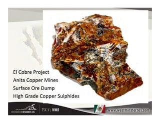 El	
  Cobre	
  Project	
  
Anita	
  Copper	
  Mines	
  
Surface	
  Ore	
  Dump	
  
High	
  Grade	
  Copper	
  Sulphides	
  	
  
 