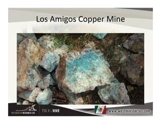 Los	
  Amigos	
  Copper	
  Mine	
  
 