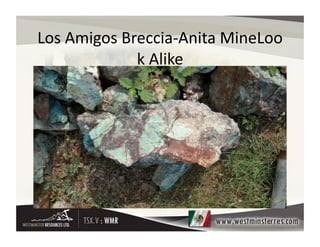 Los	
  Amigos	
  Breccia-­‐Anita	
  MineLoo
                   k	
  Alike    	
  
                    Alike   	
  
 