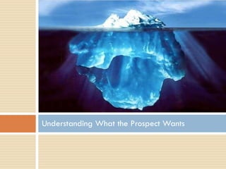 Understanding What the Prospect Wants
 