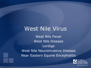 West Nile Virus
West Nile Fever
West Nile Disease
Lordige
West Nile Neuroinvasive Disease
Near Eastern Equine Encephalitis
 