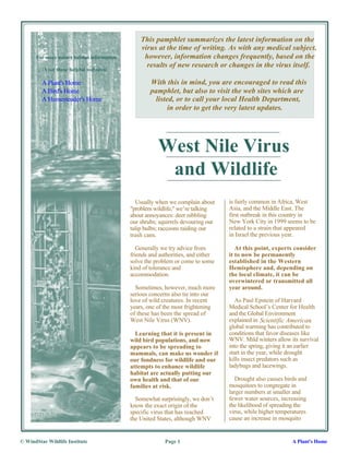 This pamphlet summarizes the latest information on the
                                                virus at the time of writing. As with any medical subject,
      For more nature habitat information        however, information changes frequently, based on the
                                                  results of new research or changes in the virus itself.
          Visit these helpful websites:

         A Plant's Home                             With this in mind, you are encouraged to read this
         A Bird's Home                              pamphlet, but also to visit the web sites which are
         A Homesteader's Home                         listed, or to call your local Health Department,
                                                           in order to get the very latest updates.




                                                       West Nile Virus
                                                        and Wildlife
                                              Usually when we complain about      is fairly common in Africa, West
                                            "problem wildlife," we’re talking     Asia, and the Middle East. The
                                            about annoyances: deer nibbling       first outbreak in this country in
                                            our shrubs; squirrels devouring our   New York City in 1999 seems to be
                                            tulip bulbs; raccoons raiding our     related to a strain that appeared
                                            trash cans.                           in Israel the previous year.

                                               Generally we try advice from          At this point, experts consider
                                            friends and authorities, and either   it to now be permanently
                                            solve the problem or come to some     established in the Western
                                            kind of tolerance and                 Hemisphere and, depending on
                                            accommodation.                        the local climate, it can be
                                                                                  overwintered or transmitted all
                                              Sometimes, however, much more       year around.
                                            serious concerns also tie into our
                                            love of wild creatures. In recent        As Paul Epstein of Harvard
                                            years, one of the most frightening    Medical School’s Center for Health
                                            of these has been the spread of       and the Global Environment
                                            West Nile Virus (WNV).                explained in Scientific American      ,
                                                                                  global warming has contributed to
                                              Learning that it is present in      conditions that favor diseases like
                                            wild bird populations, and now        WNV. Mild winters allow its survival
                                            appears to be spreading to            into the spring, giving it an earlier
                                            mammals, can make us wonder if        start in the year, while drought
                                            our fondness for wildlife and our     kills insect predators such as
                                            attempts to enhance wildlife          ladybugs and lacewings.
                                            habitat are actually putting our
                                            own health and that of our               Drought also causes birds and
                                            families at risk.                     mosquitoes to congregate in
                                                                                  larger numbers at smaller and
                                              Somewhat surprisingly, we don’t     fewer water sources, increasing
                                            know the exact origin of the          the likelihood of spreading the
                                            specific virus that has reached       virus, while higher temperatures
                                            the United States, although WNV       cause an increase in mosquito


© WindStar Wildlife Institute                             Page 1                                             A Plant's Home
 