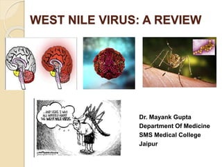 WEST NILE VIRUS: A REVIEW
Dr. Mayank Gupta
Department Of Medicine
SMS Medical College
Jaipur
 