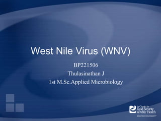 West Nile Virus (WNV)
BP221506
Thulasinathan J
1st M.Sc.Applied Microbiology
 
