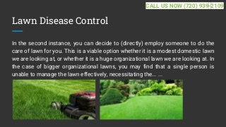 Lawn Disease Control
In the second instance, you can decide to (directly) employ someone to do the
care of lawn for you. This is a viable option whether it is a modest domestic lawn
we are looking at, or whether it is a huge organizational lawn we are looking at. In
the case of bigger organizational lawns, you may find that a single person is
unable to manage the lawn effectively, necessitating the... ...
CALL US NOW (720) 939-2109
 