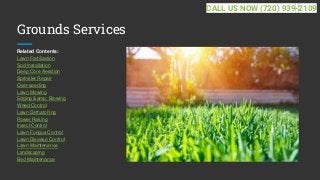 Grounds Services
Related Contents:
Lawn Fertilization
Sod Installation
Deep Core Aeration
Sprinkler Repair
Over-seeding
Lawn Mowing
Edging &amp; Blowing
Weed Control
Lawn Dethatching
Power Raking
Insect Control
Lawn Fungus Control
Lawn Disease Control
Lawn Maintenance
Landscaping
Bed Maintenance
CALL US NOW (720) 939-2109
 