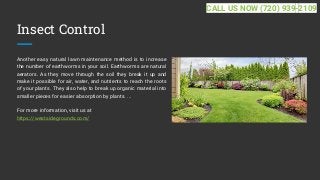 Insect Control
Another easy natural lawn maintenance method is to increase
the number of earthworms in your soil. Earthworms are natural
aerators. As they move through the soil they break it up and
make it possible for air, water, and nutrients to reach the roots
of your plants. They also help to break up organic material into
smaller pieces for easier absorption by plants. ...
For more information, visit us at
https://westsidegrounds.com/
CALL US NOW (720) 939-2109
 