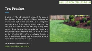 Tree Pruning
Starting with the advantages, it turns out, for starters,
that chances of getting the care of lawn well done are
indeed very high when you task it to competent
landscaping and firms. In other words, thanks to the
fact that this is what they do on a day to day basis,
most of these firms end up becoming very good at it,
as they over time develop an idea on which practices
are truly effective. Still on the advantages, it emerges
that, in most cases, getting care of lawn done by these
'specialist' firms may prove to be a... ...
For more information, visit us at
https://westsidegrounds.com/
CALL US NOW (720) 939-2109
 