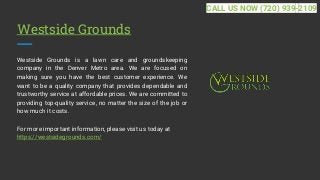 Westside Grounds
Westside Grounds is a lawn care and groundskeeping
company in the Denver Metro area. We are focused on
making sure you have the best customer experience. We
want to be a quality company that provides dependable and
trustworthy service at affordable prices. We are committed to
providing top-quality service, no matter the size of the job or
how much it costs.
For more important information, please visit us today at
https://westsidegrounds.com/
CALL US NOW (720) 939-2109
 