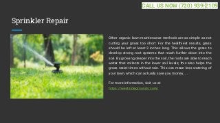 Sprinkler Repair
Other organic lawn maintenance methods are as simple as not
cutting your grass too short. For the healthiest results, grass
should be left at least 3 inches long. This allows the grass to
develop strong root systems that reach further down into the
soil. By growing deeper into the soil, the roots are able to reach
water that collects in the lower soil levels; this also helps the
grass resist times without rain. This can mean less watering of
your lawn, which can actually save you money. ...
For more information, visit us at
https://westsidegrounds.com/
CALL US NOW (720) 939-2109
 