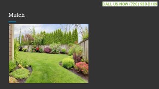 Mulch
CALL US NOW (720) 939-2109
 