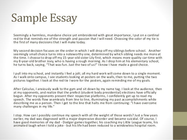 Essay about yourself in third person