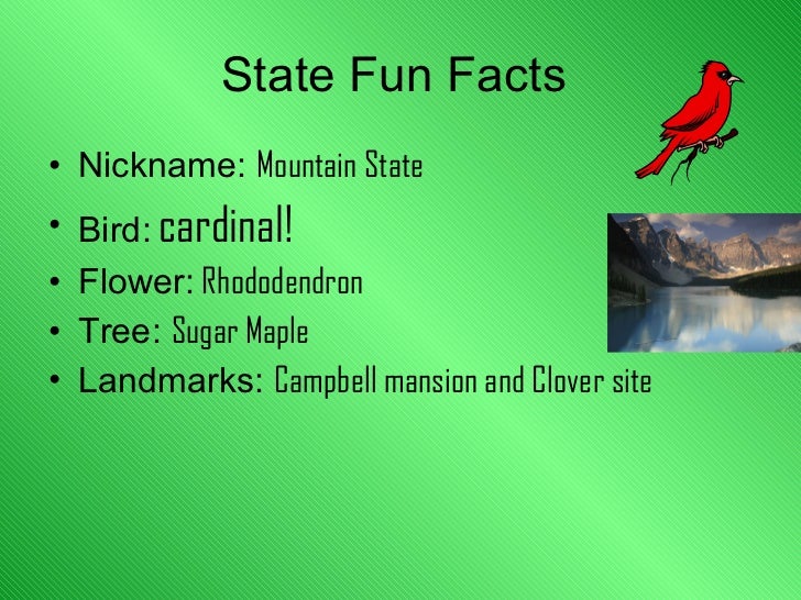 Referenz Verkörpern Schicksal fun facts about west virginia Pearly