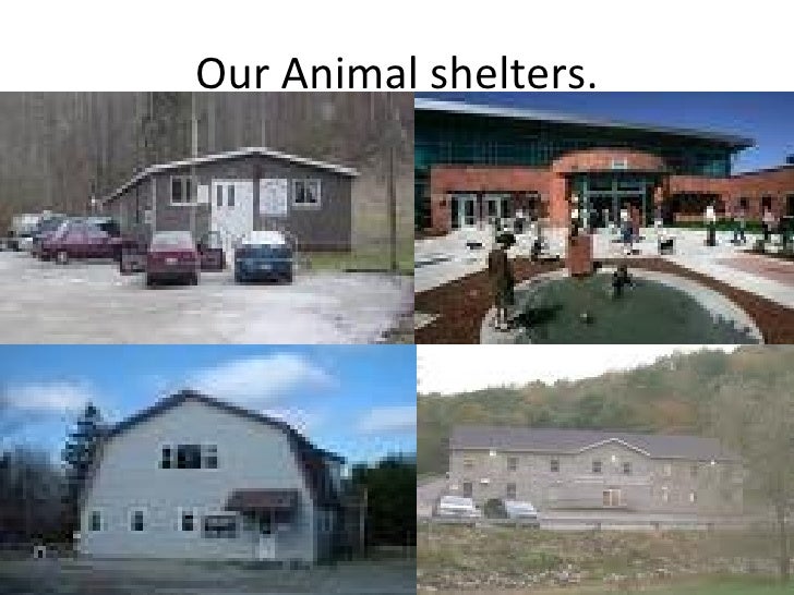 West Virginia Animal Shelters