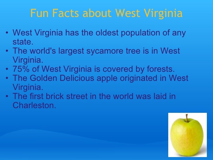 U.S. State Powerpoint