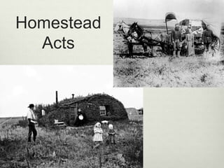 Homestead
Acts
 