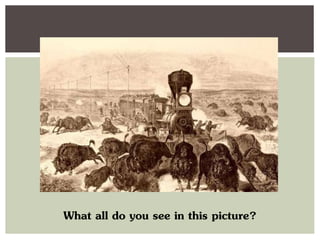 What all do you see in this picture?
 