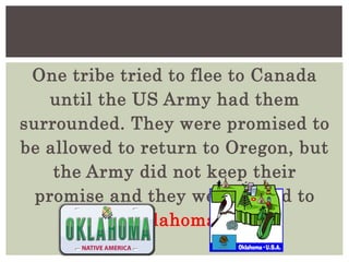 One tribe tried to flee to Canada
until the US Army had them
surrounded. They were promised to
be allowed to return to Oregon, but
the Army did not keep their
promise and they were forced to
Oklahoma.
 