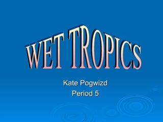 Kate Pogwizd Period 5 WET TROPICS 