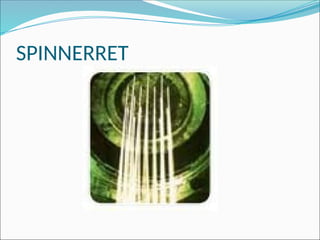 SPINNERRET
 