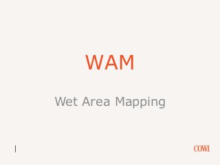 WAM
Wet Area Mapping

 