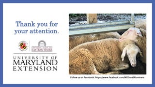Thank you for
your attention.
Follow us on Facebook: https://www.facebook.com/MDSmallRuminant
 