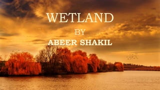 WETLAND
BY
ABEER SHAKIL
 