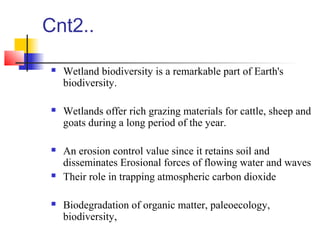 Remote Sensing And GIS Application In Wetland Mapping | PPT