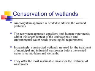 Remote Sensing And GIS Application In Wetland Mapping | PPT