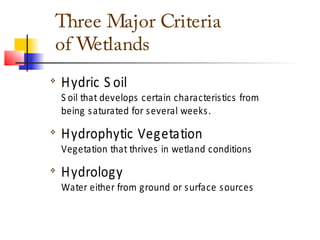 Remote Sensing And GIS Application In Wetland Mapping | PPT