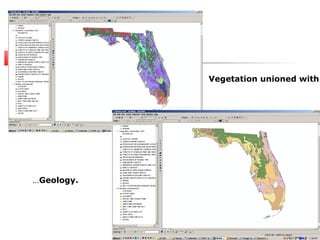 Remote Sensing And GIS Application In Wetland Mapping