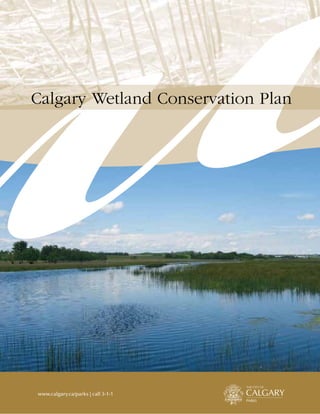 www.calgary.ca/parks | call 3-1-1
Calgary Wetland Conservation Plan
 