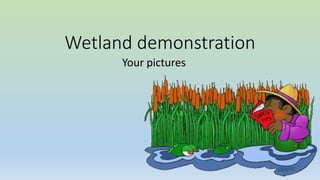 Wetland demonstration
Your pictures
 