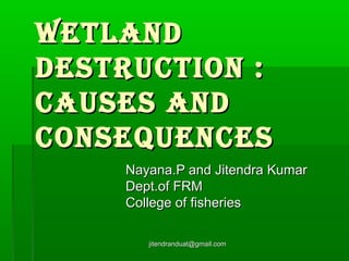 Wetland
destruction :
causes and
consequences
Nayana.P and Jitendra Kumar
Dept.of FRM
College of fisheries
jitendranduat@gmail.com

 