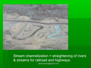 Channelizing Rivers Wetland destruction | PPT