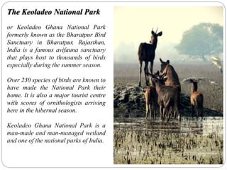 The Keoladeo National Park
or Keoladeo Ghana National Park
formerly known as the Bharatpur Bird
Sanctuary in Bharatpur, Rajasthan,
India is a famous avifauna sanctuary
that plays host to thousands of birds
especially during the summer season.
Over 230 species of birds are known to
have made the National Park their
home. It is also a major tourist centre
with scores of ornithologists arriving
here in the hibernal season.
Keoladeo Ghana National Park is a
man-made and man-managed wetland
and one of the national parks of India.
 
