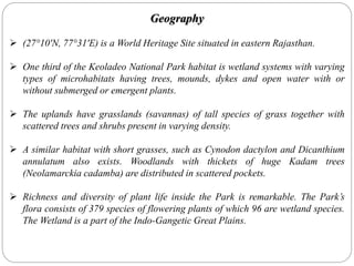 Geography
 (27°10'N, 77°31'E) is a World Heritage Site situated in eastern Rajasthan.
 One third of the Keoladeo National Park habitat is wetland systems with varying
types of microhabitats having trees, mounds, dykes and open water with or
without submerged or emergent plants.
 The uplands have grasslands (savannas) of tall species of grass together with
scattered trees and shrubs present in varying density.
 A similar habitat with short grasses, such as Cynodon dactylon and Dicanthium
annulatum also exists. Woodlands with thickets of huge Kadam trees
(Neolamarckia cadamba) are distributed in scattered pockets.
 Richness and diversity of plant life inside the Park is remarkable. The Park’s
flora consists of 379 species of flowering plants of which 96 are wetland species.
The Wetland is a part of the Indo-Gangetic Great Plains.
 