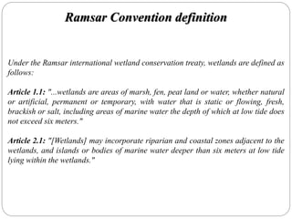 Under the Ramsar international wetland conservation treaty, wetlands are defined as
follows:
Article 1.1: "...wetlands are areas of marsh, fen, peat land or water, whether natural
or artificial, permanent or temporary, with water that is static or flowing, fresh,
brackish or salt, including areas of marine water the depth of which at low tide does
not exceed six meters."
Article 2.1: "[Wetlands] may incorporate riparian and coastal zones adjacent to the
wetlands, and islands or bodies of marine water deeper than six meters at low tide
lying within the wetlands."
Ramsar Convention definition
 