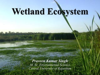 Wetland Ecosystem
Praveen Kumar Singh
M. Sc. Environmental Science
Central University of Rajasthan
 
