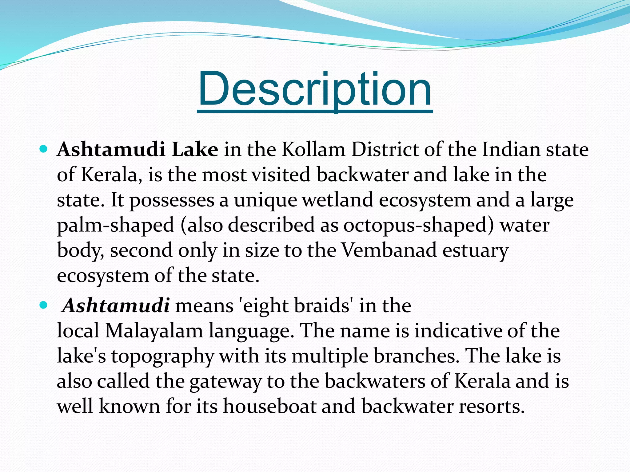 Wetland Ecosystems | PPTX