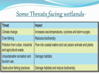 Some Threats facing wetlands-
 